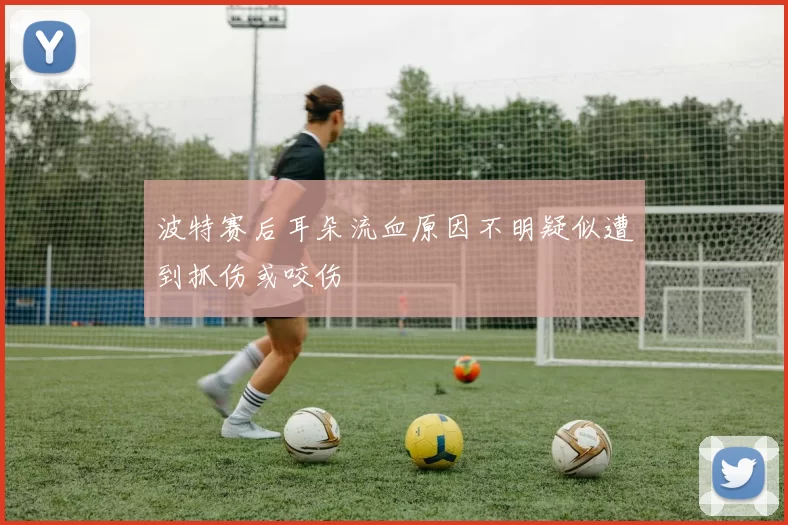 波特赛后耳朵流血原因不明疑似遭到抓伤或咬伤